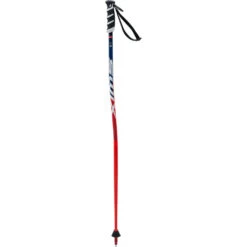 Swix Junior World Cup Pro SG Alpine Ski Poles